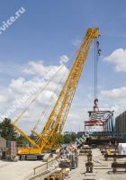 Liebherr LR 1350