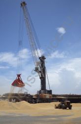 Liebherr LHM 550